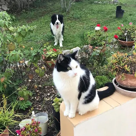Lejlighed Casa Da Azinheira Loulé